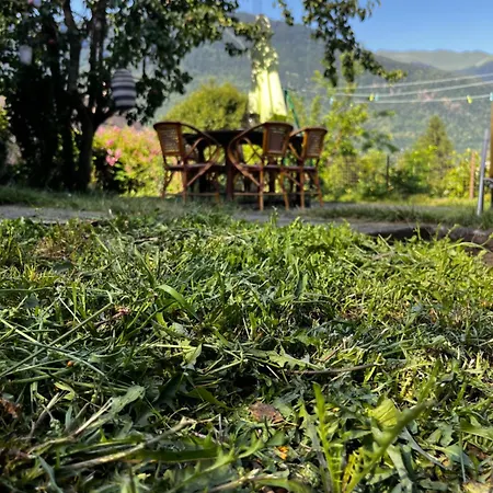 Ferienhaus Maison De Village Avec Vue Sur Les Montagnes Et Jardin Privatif Montauban-de-Luchon